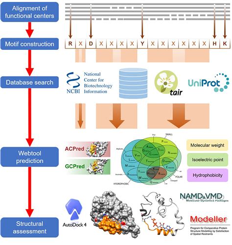 read online computational protein science structural bioinformatics Epub