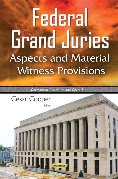 read online federal grand juries material provisions PDF