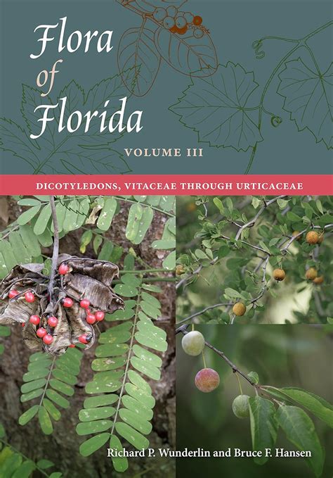 read online flora florida iii dicotyledons urticaceae PDF