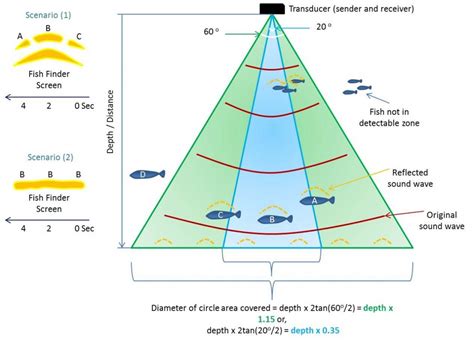 read online how fish depth illustrated identification PDF