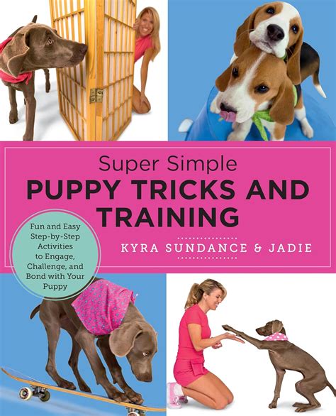 read online how teach your puppy tricks PDF