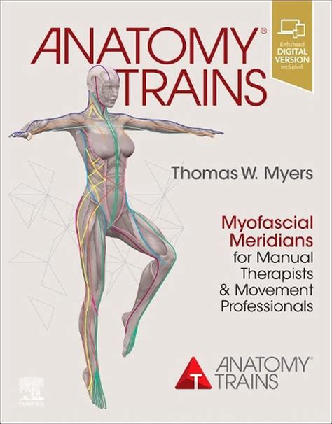 read unlimited books online anatomy trains pdf book Epub