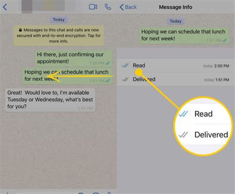 reading receipts whatsapp