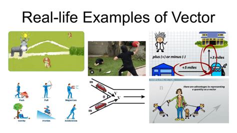 real life problems using vectors pdf Doc