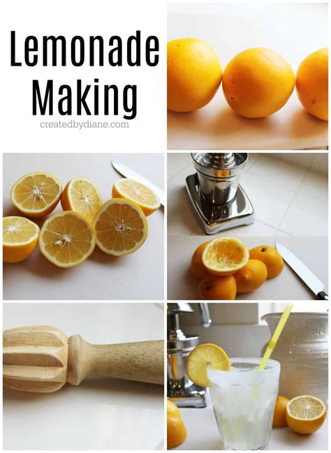 recipe for lemonade or what to do when life gives you lemons PDF
