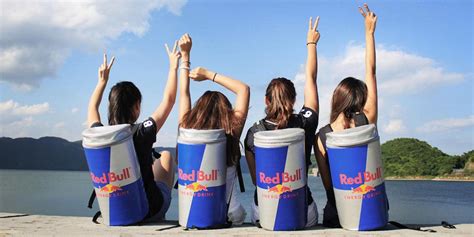 red bull wings team job description