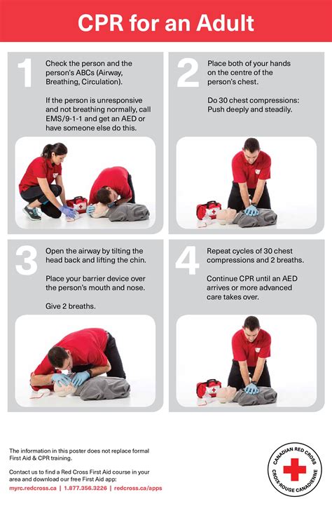 red cross cpr manual pdf Kindle Editon