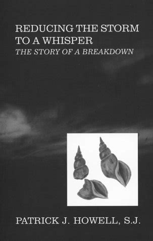 reducing the storm to a whisper the story of a breakdown Kindle Editon