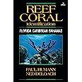 reef coral identification florida caribbean bahamas 3rd edition reef set new world Reader