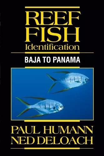 reef fish identification baja to panama Doc