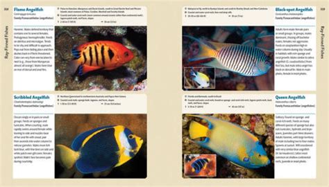 reef life a guide to tropical marine life Kindle Editon