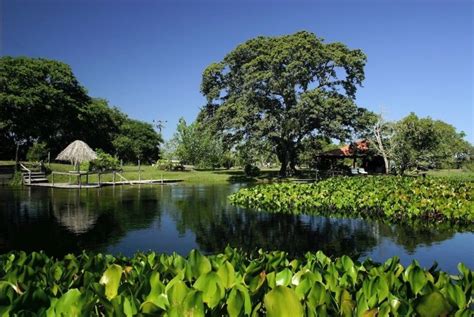 refúgio da ilha ecolodge pousada pantanal