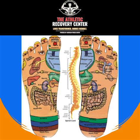 reflexology courses near me