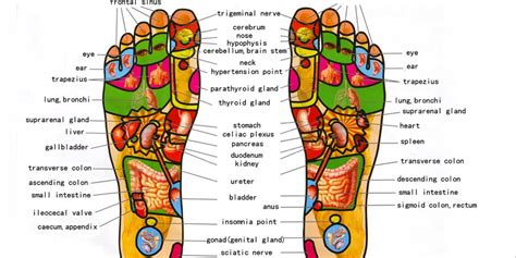 reflexology foot massage near me