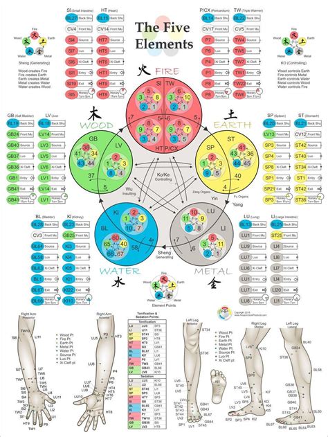reflexology the 5 elements and their 12 meridians a unique approach PDF