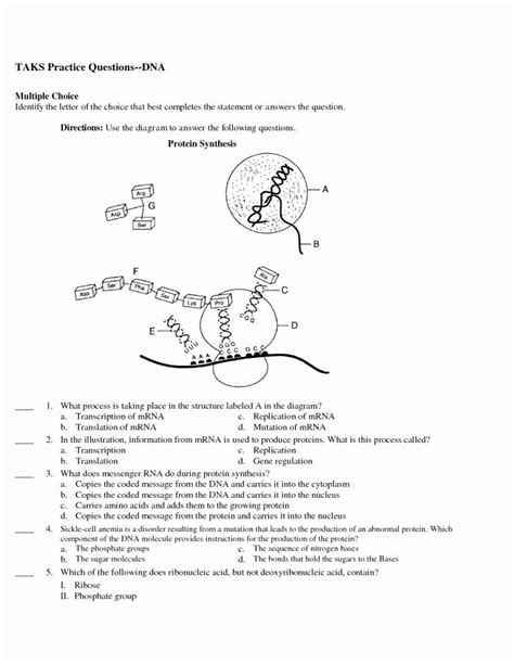 regents biology protein synthesis practice 2 answers Reader
