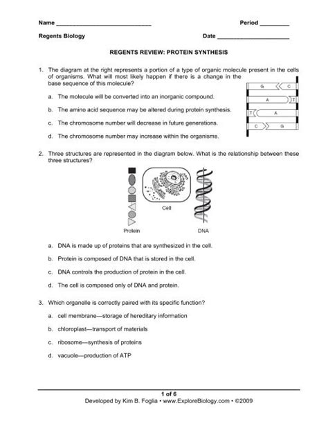 regents review protein synthesis answers Doc