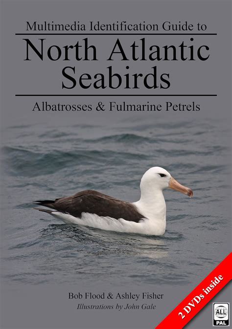 register albatrosses fulmarine multimedia identification atlantic Doc