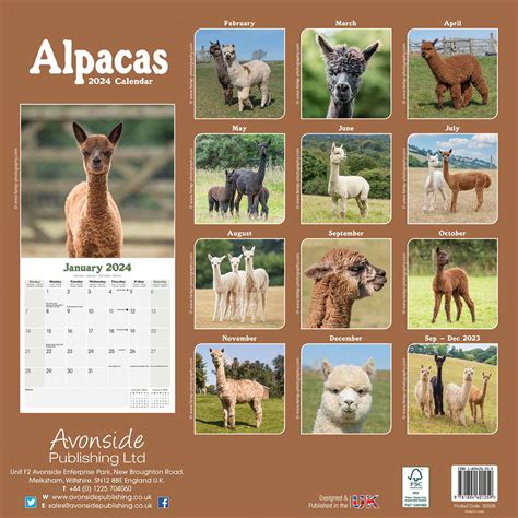 register alpaca calendar maine color photos PDF