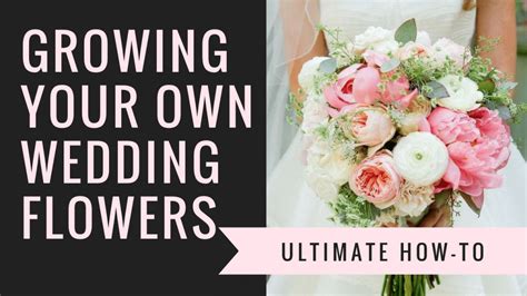 register grow your own wedding flowers Reader