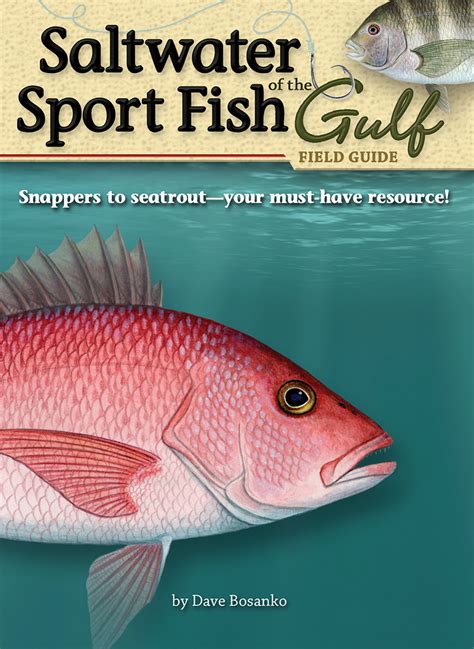 register sport fish gulf quick guide Reader