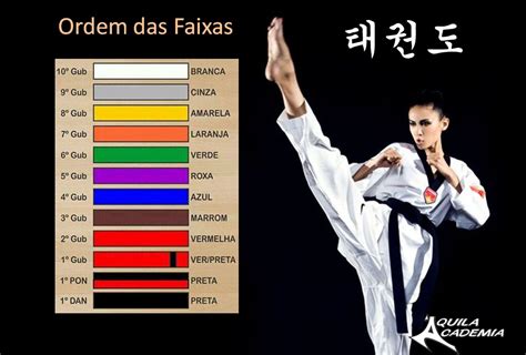 regras taekwondo