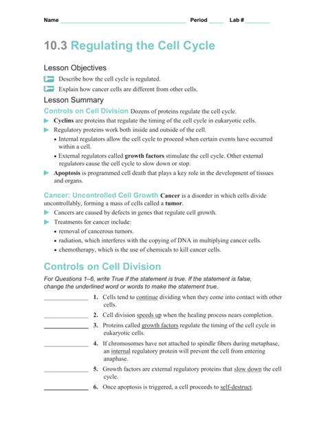 regulating the cell cycle answer key PDF