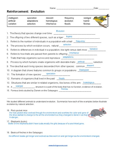 reinforcement evolution of stars answers PDF