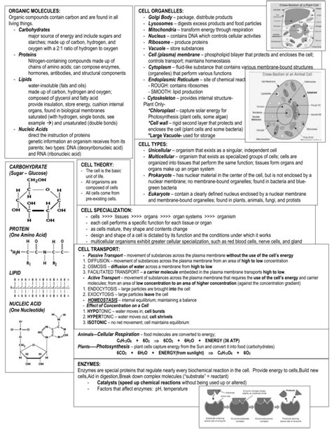 released staar biology may 2013 answers Doc