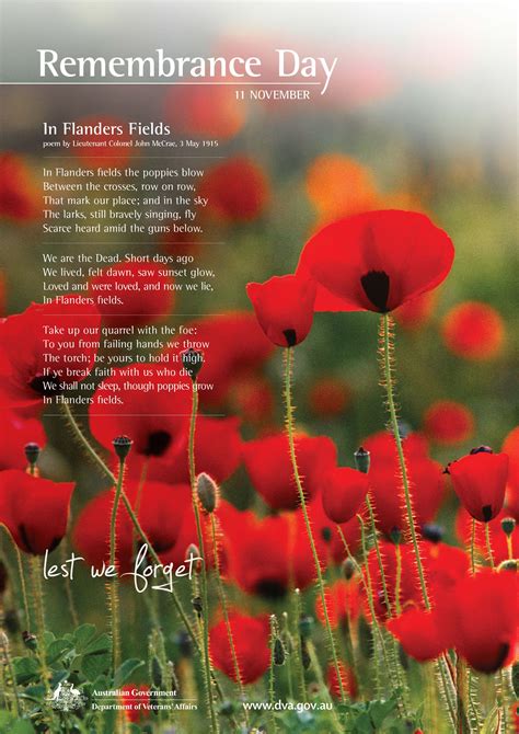 remembrance remembrance Reader