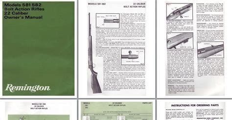 remington 522 viper owners manual 24887 pdf Reader