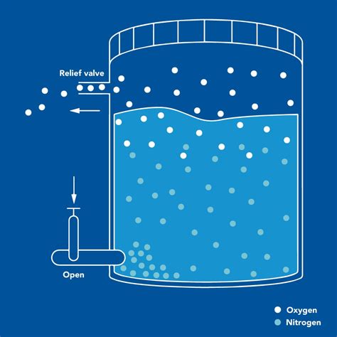 removal-of-dissolved-oxygen-from-water-a-comparison-of-four- Ebook Epub