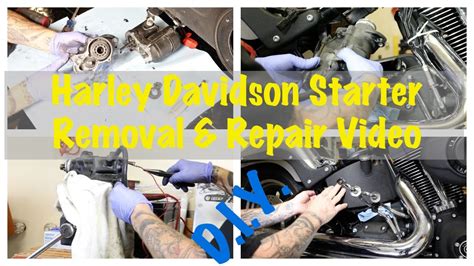 remove starter motor 2006 harley davidson PDF