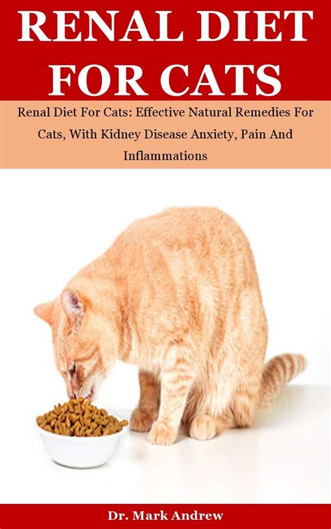 renal failure in cats diet