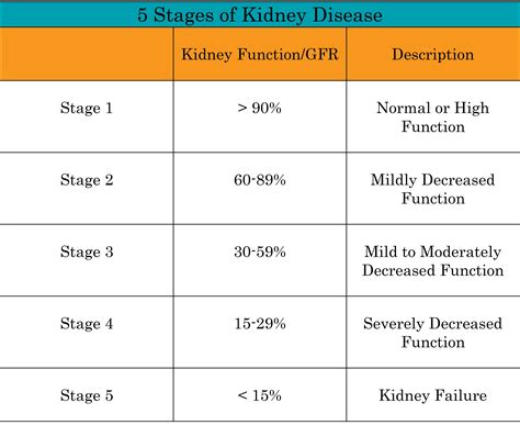 renal kidney failure stages