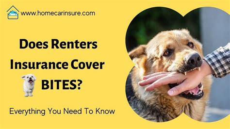 renters insurance with dog bite coverage