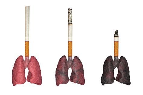 repair lung damage from smoking Reader