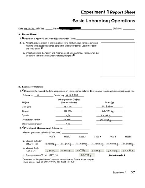 report sheet answers for activity series Kindle Editon