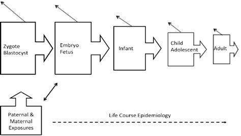 reproductive and perinatal epidemiology Kindle Editon