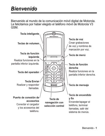 reprogramacion manual motorola v3 iusacell Reader