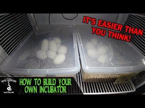 reptile egg incubator make your own Doc