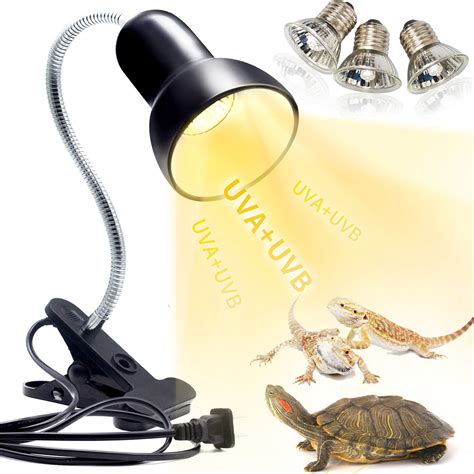 reptile heating lamp