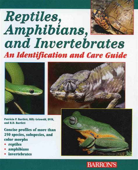 reptiles amphibians and invertebrates an identification and care guide Kindle Editon