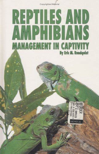 reptiles and amphibians rain forest rain tree PDF