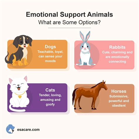 requirements to be an emotional support dog