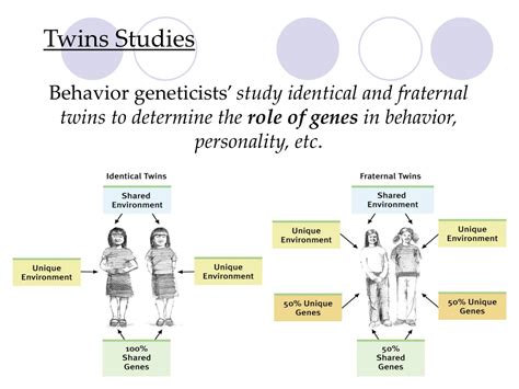 researchers study identical twins to examine how___ influences personality