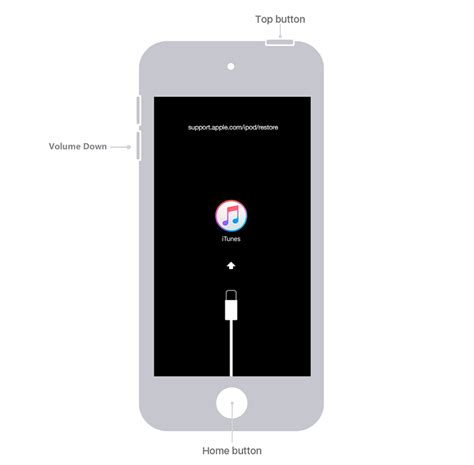 reset ipod to factory settings PDF