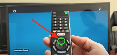 reset sony bravia remote control Doc