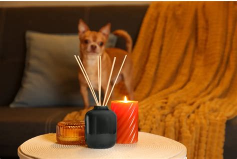 residue-free pet safe air fresheners for apartment