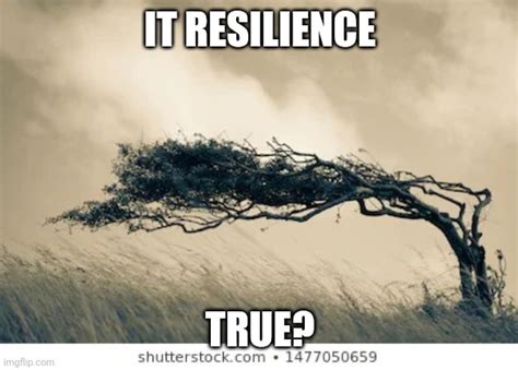 resilience meme